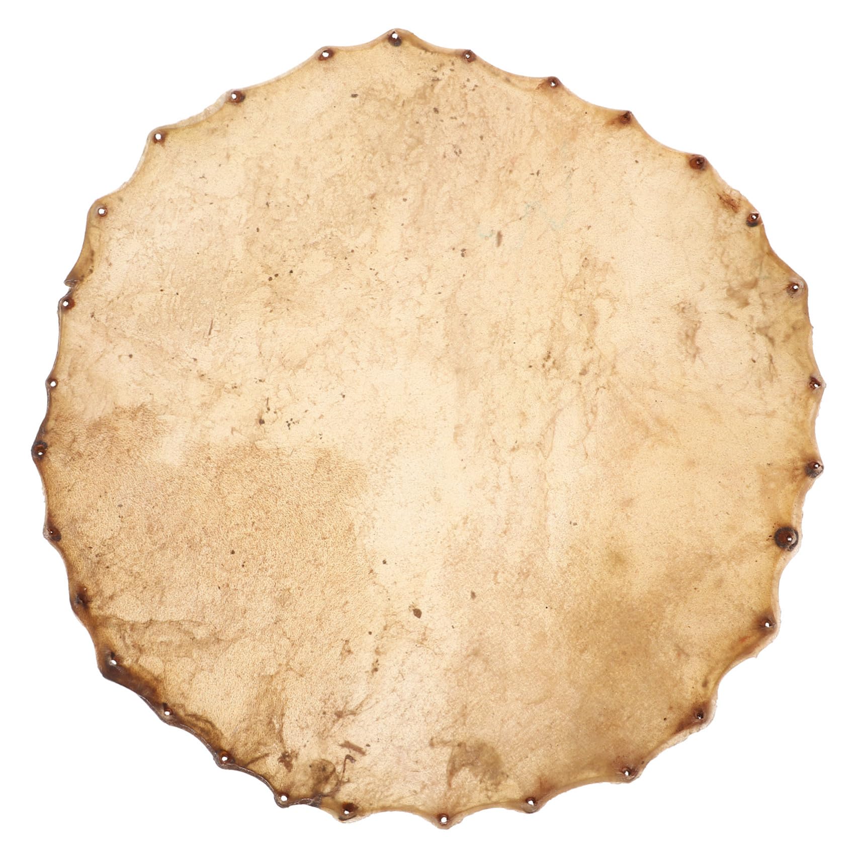 Amazon | EXAOMBLE 黄牛皮大太鼓用交換ドラムヘッド 丸型打楽器用皮製