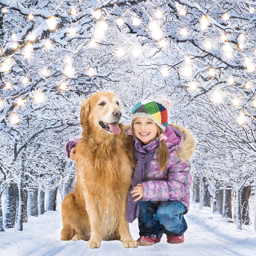 Funnytree Weihnachts-Fotohintergrund – Verschneiter Wald Mit Tannen, 300x241 Cm, Econ-Polyester, Für Studio & Dekoration