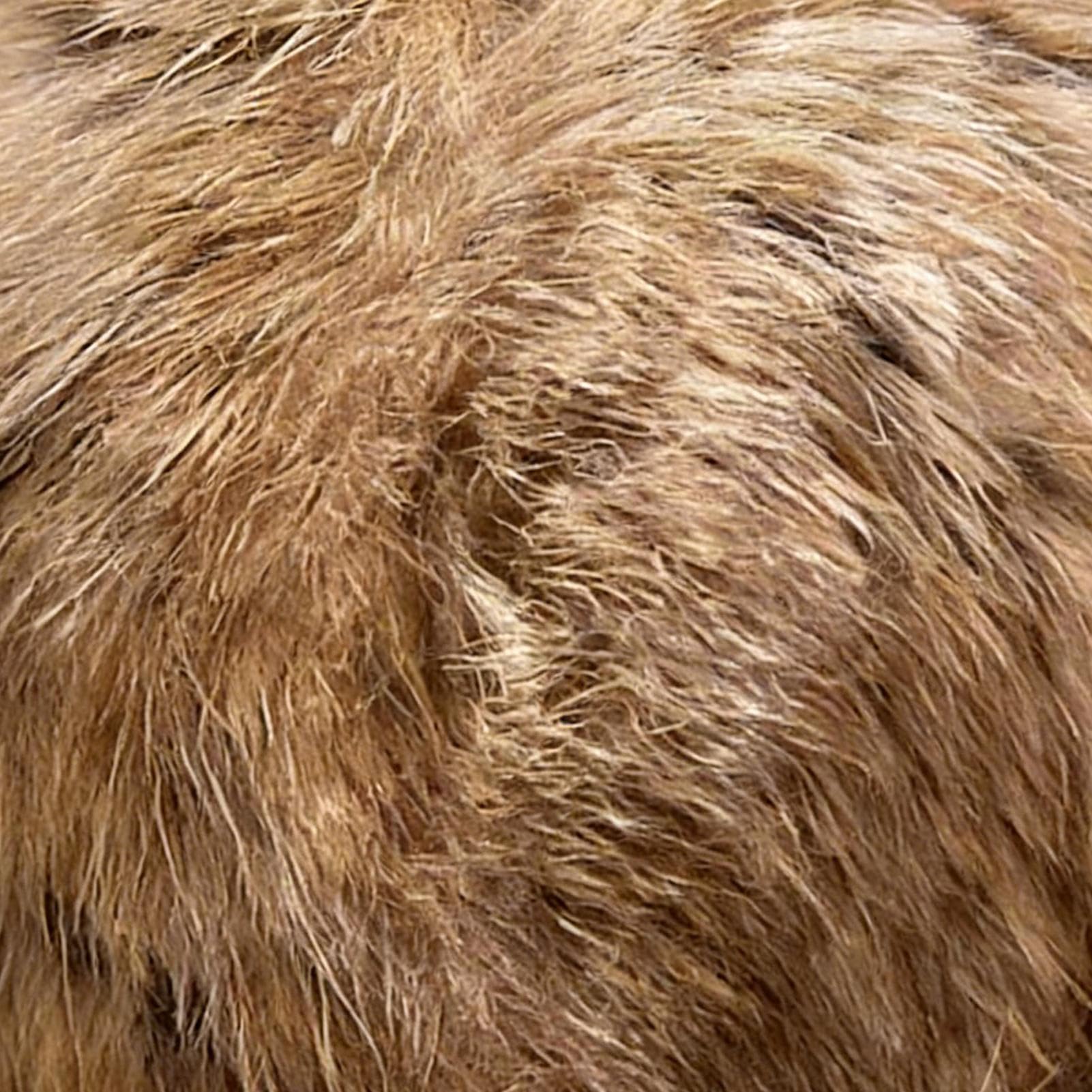 Juguete Interactivo Bola para Gatos Accesorios De Juego para Gatitos | Juguete Hierba Gatera Para Gatos Interior Para Dueños De Mascotas Amantes De Los Animales Hogar Oficina Dormitorio Salón