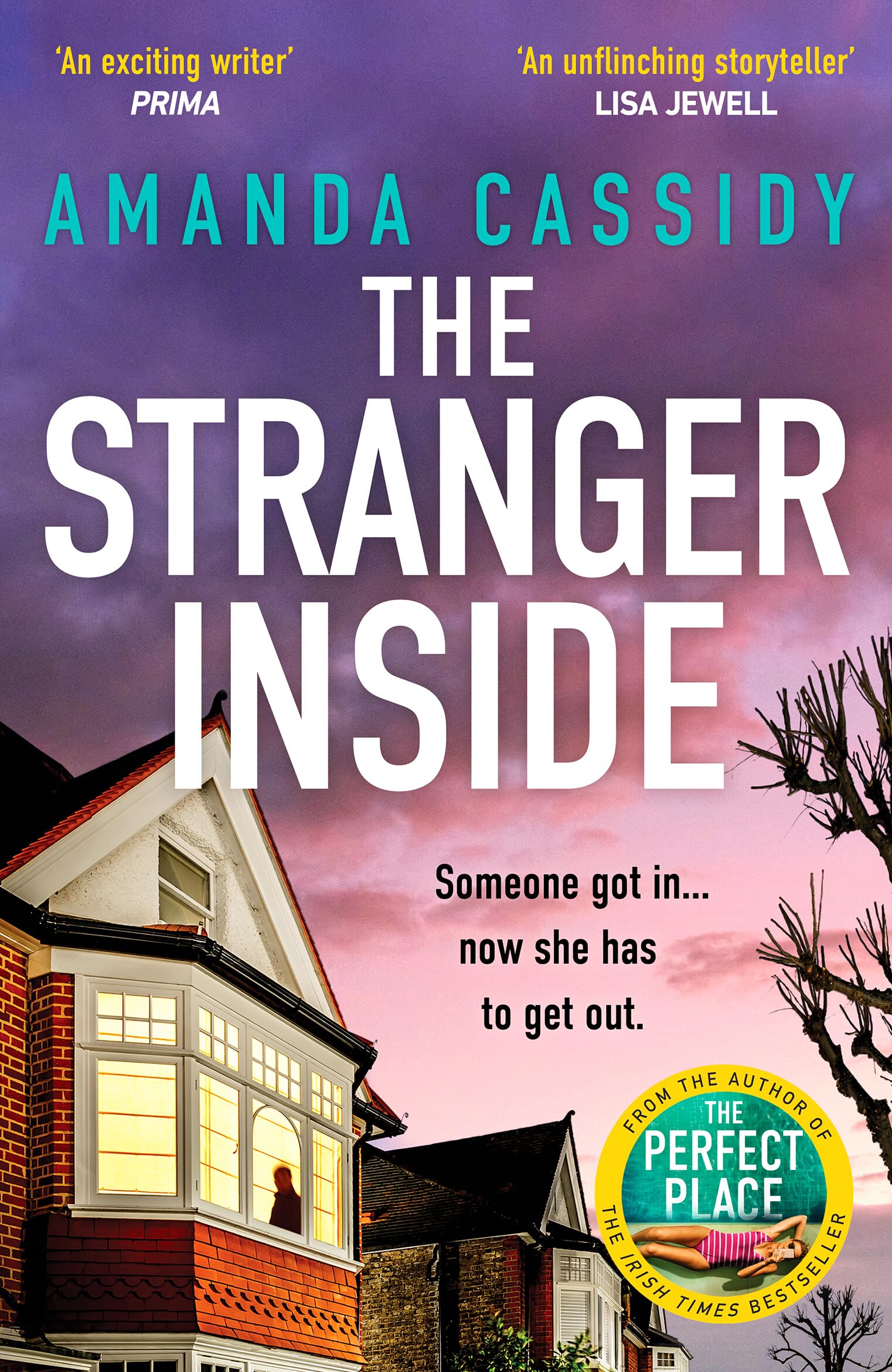 The Stranger Inside: A compulsive and gripping crime thriller from the Irish Times bestselling author of The Perfect Place