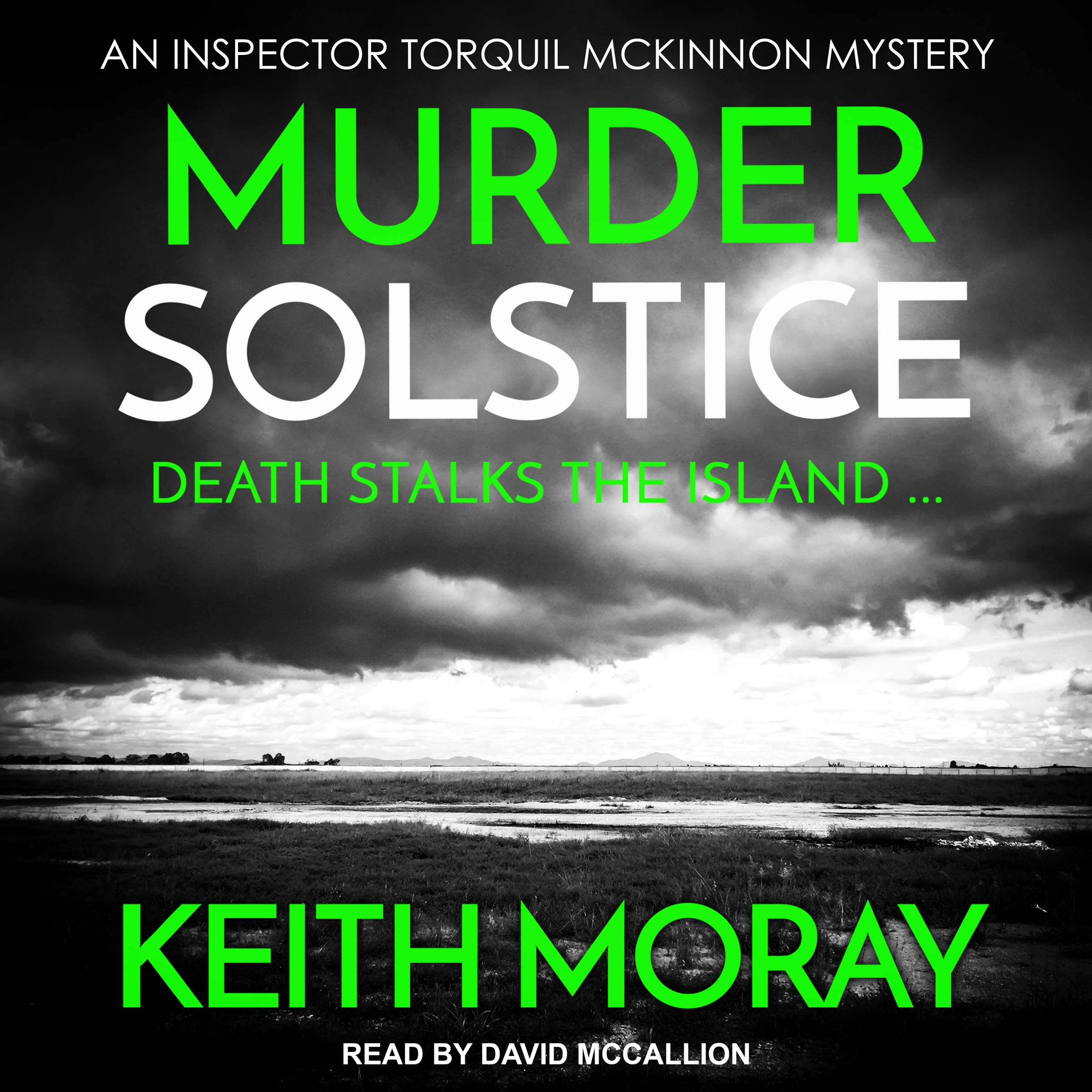 Cover art for Murder Solstice