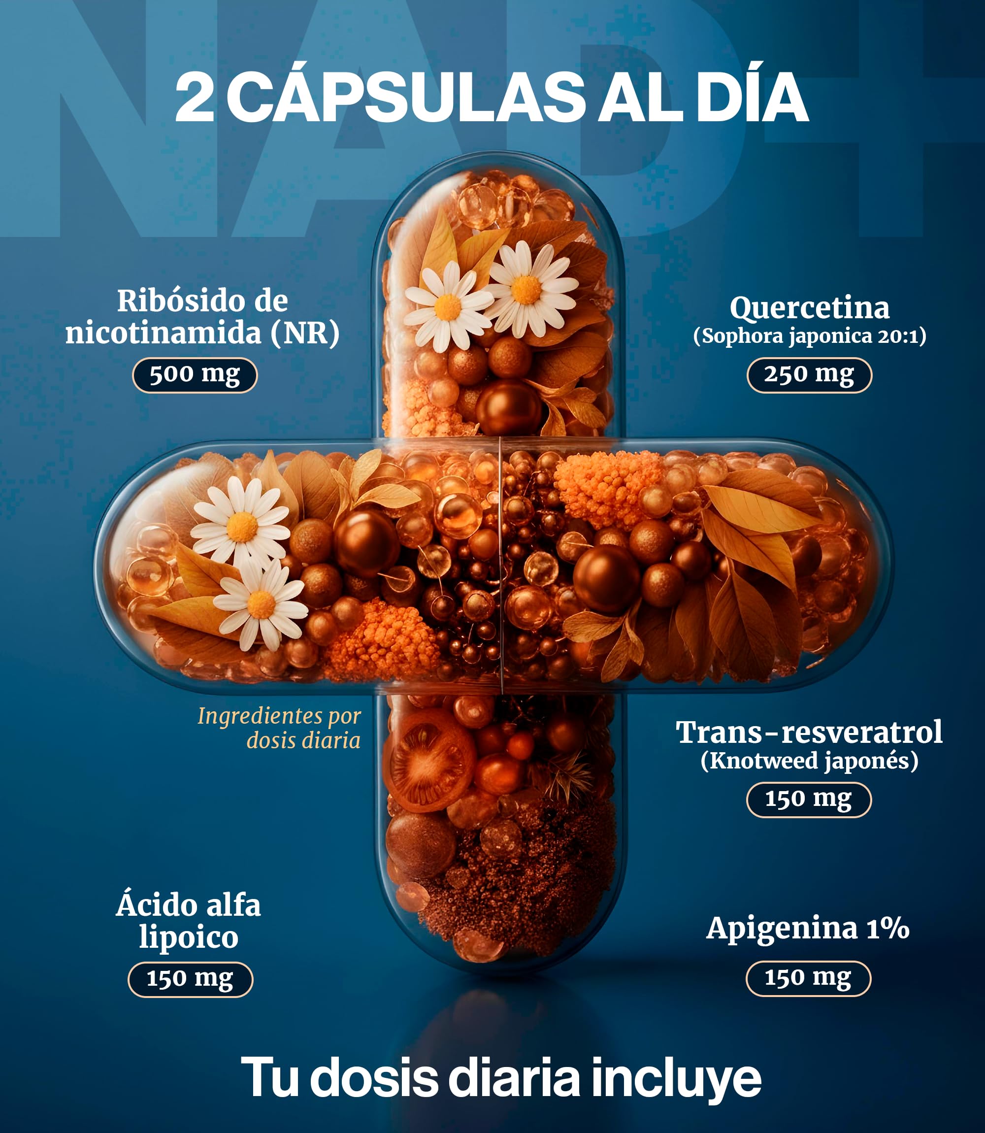 NAD+ Trans Resveratrol Alta Pureza con Nicotinamide Riboside 500mg Quercetina 250mg Apigenina 150mg Ácido Alfa Lipoico 150mg 90 Capsulas Energía Celular Longevidad Antioxidante Piel Anti Age Vitalidad