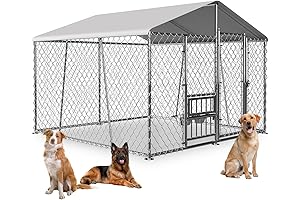 Spacious Outside Kennel for Lanky Lapdogs with Bowls