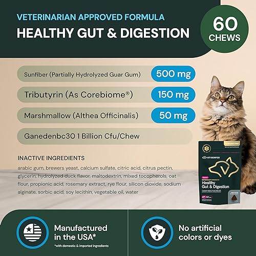 Miniatura 3 de VetriScience Veterinary Strength - Suplemento para la salud intestinal y digestión - Suplemento de salud digestiva para mascotas para gatos y perros