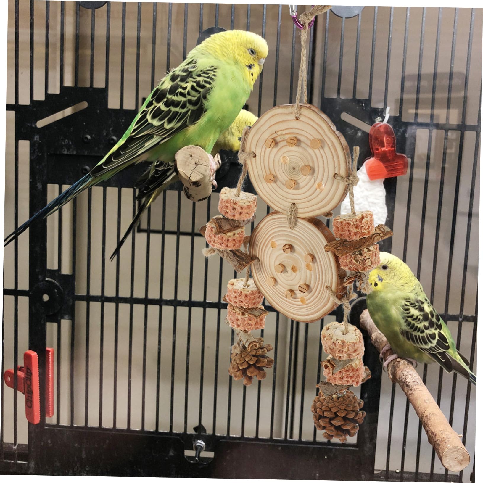 BESPORTBLE 5pièces Jouet Suspendu pour Oiseaux à Mordre Accessoire De Cage pour Perroquets Et Perruches Jouet Éducatif Matériau Naturel pour Et Amuser Vos Oiseaux