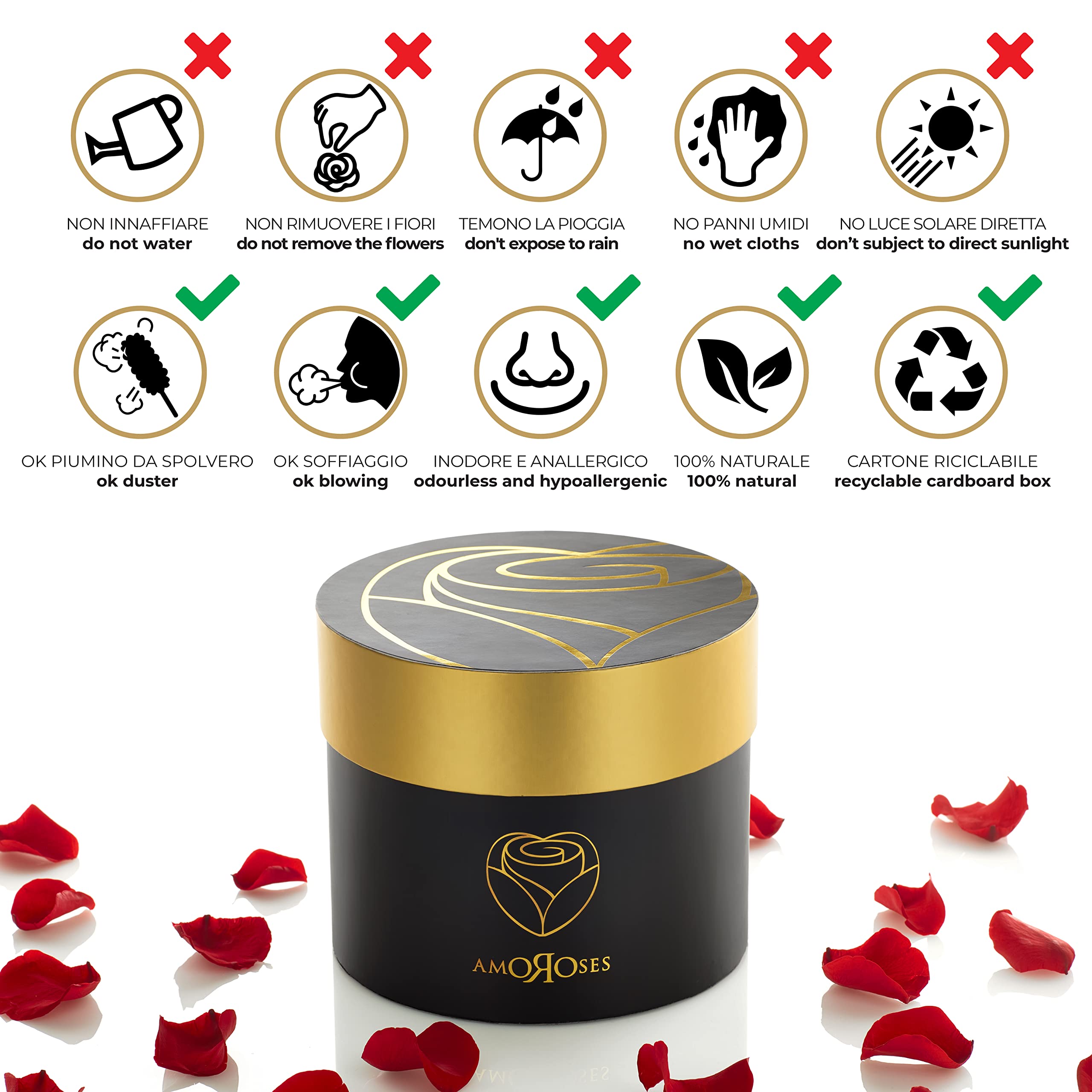 Amoroses 12 Rose Stabilizzate Vere durano Anni - Idea Regalo per Lei Originale Elegante Bouquet per San Valentino e Altre Occasioni Speciali (Scatola Nera con Rose Rosse)