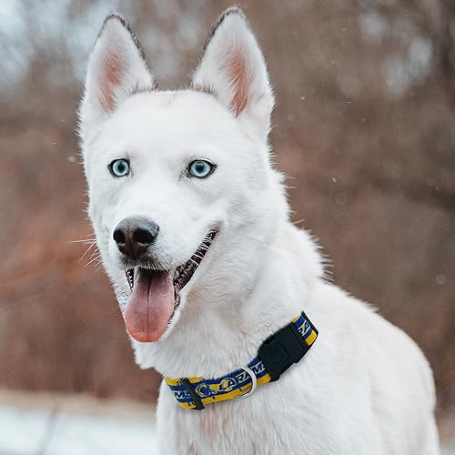 Miniatura 149 de Pets First Collar para perro de la NFL 32 equipos NFL disponibles en 4 tamaños. Collar de PET NFL resistente, fuerte y duradero. Equipo de fútbol