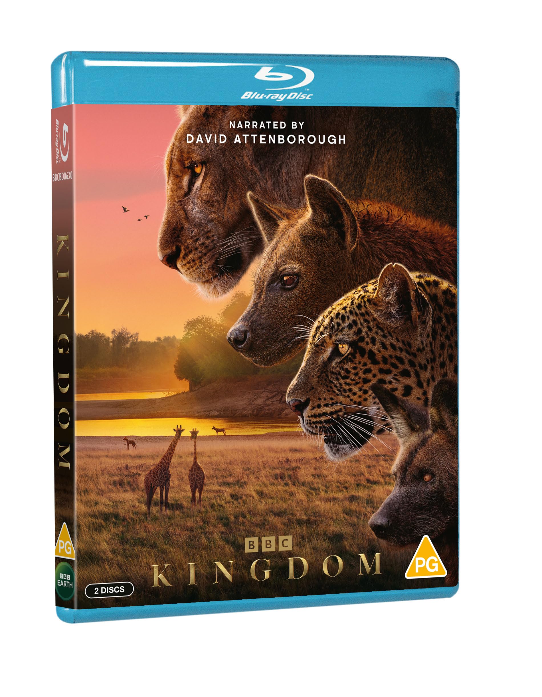 Kingdom