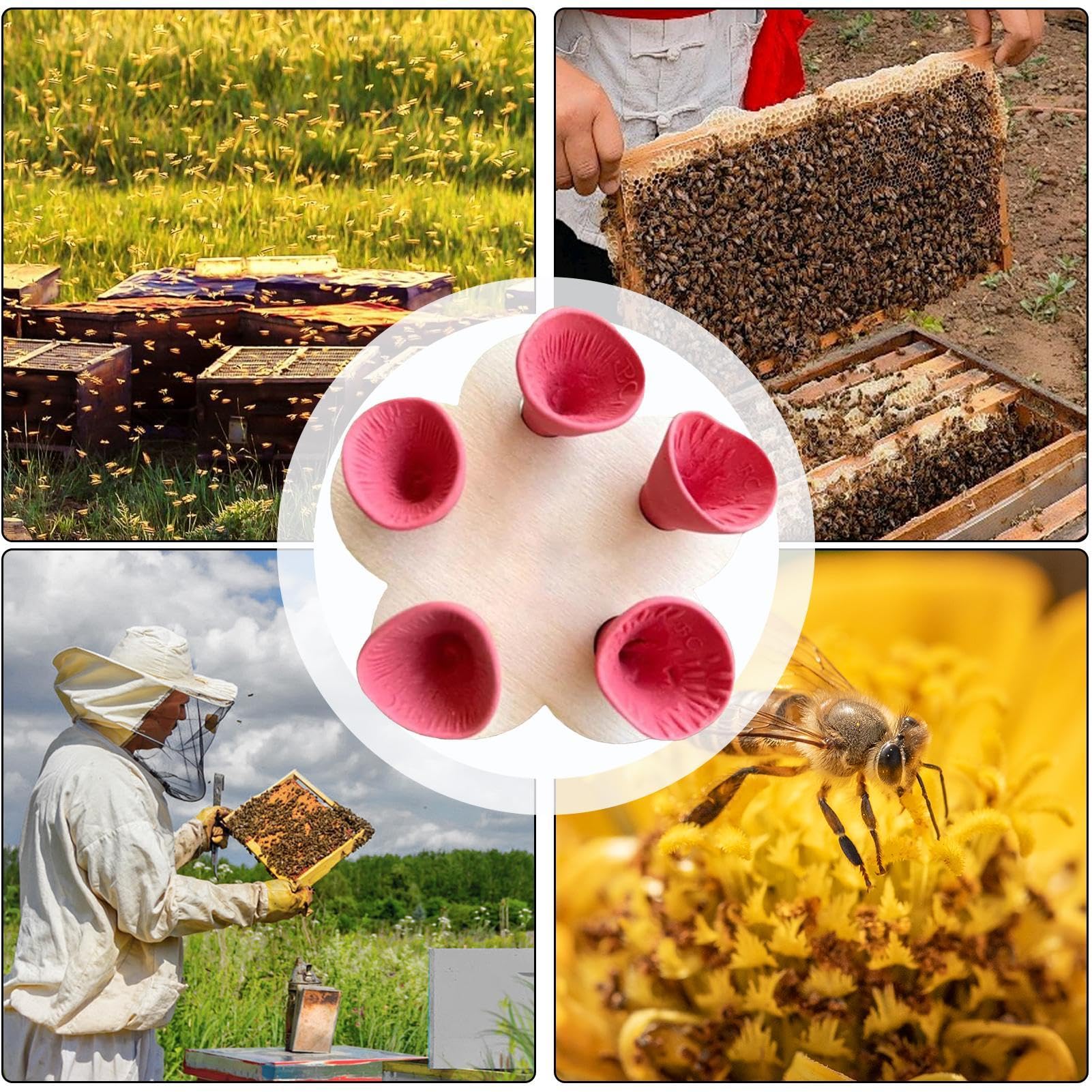 Source Eau Pollinisateurs Gobelet à Abeilles WEIYIXIN - Résine Colorée - Pour Hydrater Les Pollinisateurs - Déco Jardin Hydratation Pollinisateurs