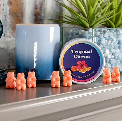 Miniatura 10 de Happy Wax Coastal Tide - Cera de soja natural perfumada que se derrite  3.6 onzas de cera perfumada, fabricada en Estados Unidos