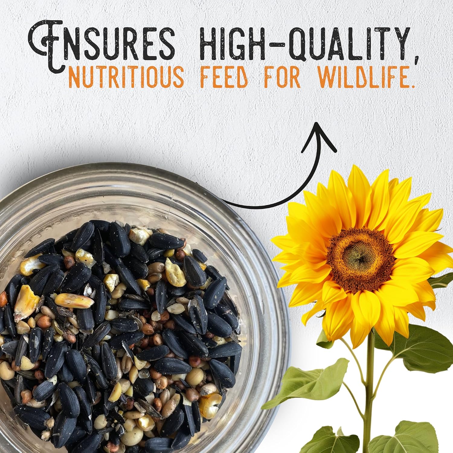 Ernst Grain & Livestock Wild Bird Food Select - Birdseed for Outside Feeders - Black Oil Sunflowers, Nyjer Seed & Other Non-GMO Grains - Ideal Bird Seed for Cardinals, Woodpeckers and More, 25 lb