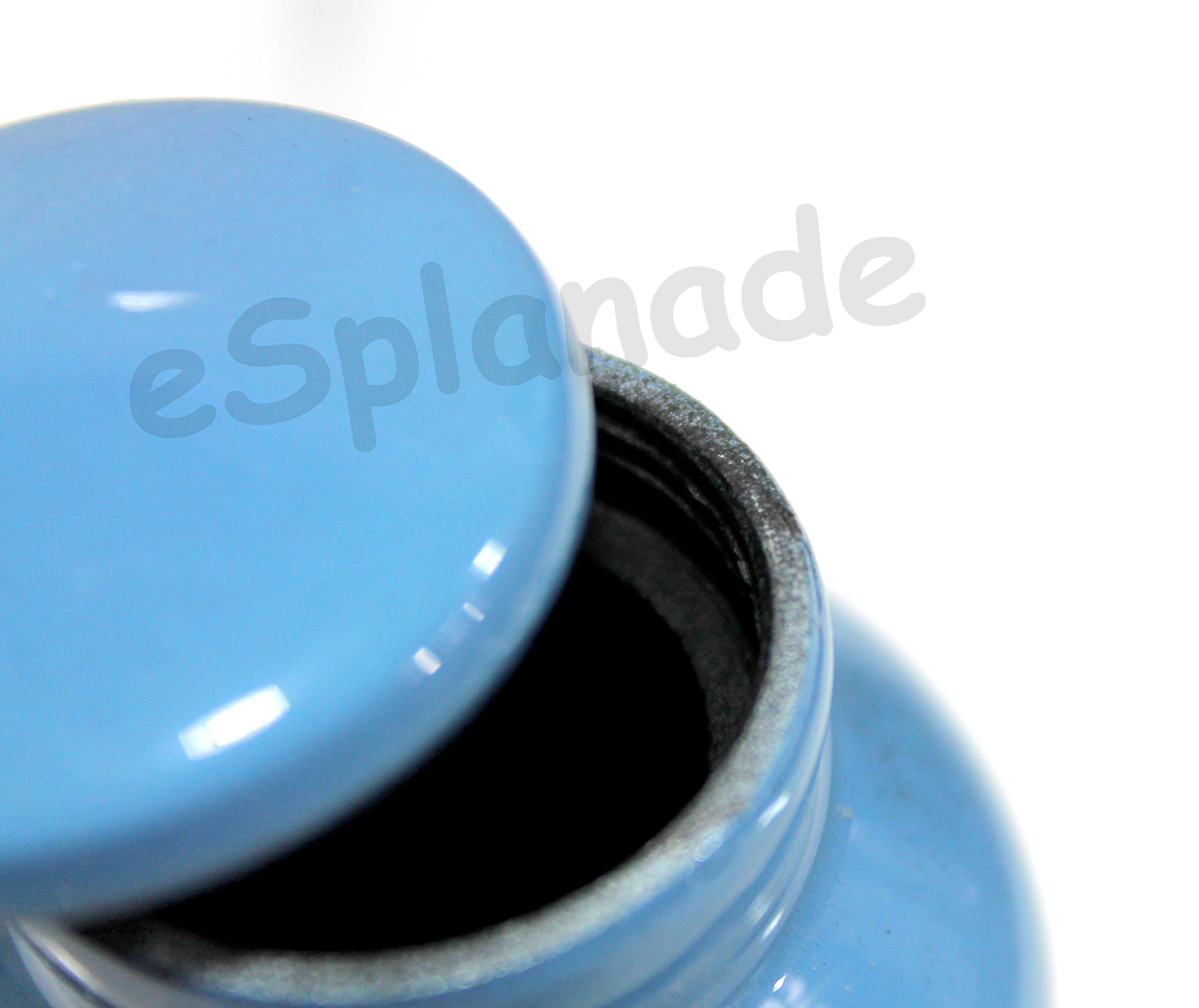 Esplanade Mini urna de cremación de metal, contenedor conmemorativo para recuerdo de cenizas funerarias, recuerdo impreso de paloma blanca, azul, 3 pulgadas