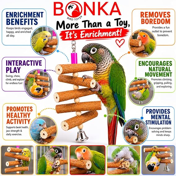 Bonka Bird Toys Sola Log Bird Toy for Parakeets Cockatiels Lovebirds Conures and Small Parrots Natural Sola Wood Shredding Chewing and Foraging Cage Toy