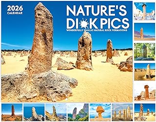 2023年 壁掛けカレンダー - 12ヶ月間壁掛けカレンダー 2023年1月 - 2023年12月 12インチ x 24インチ (開いた状態) 罫線なしカレンダー 2023年 厚い光沢紙