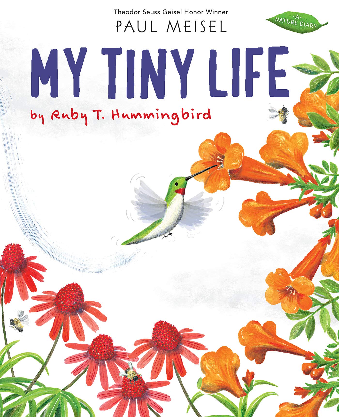 My Tiny Life by Ruby T. Hummingbird: 4 (Nature Diary)