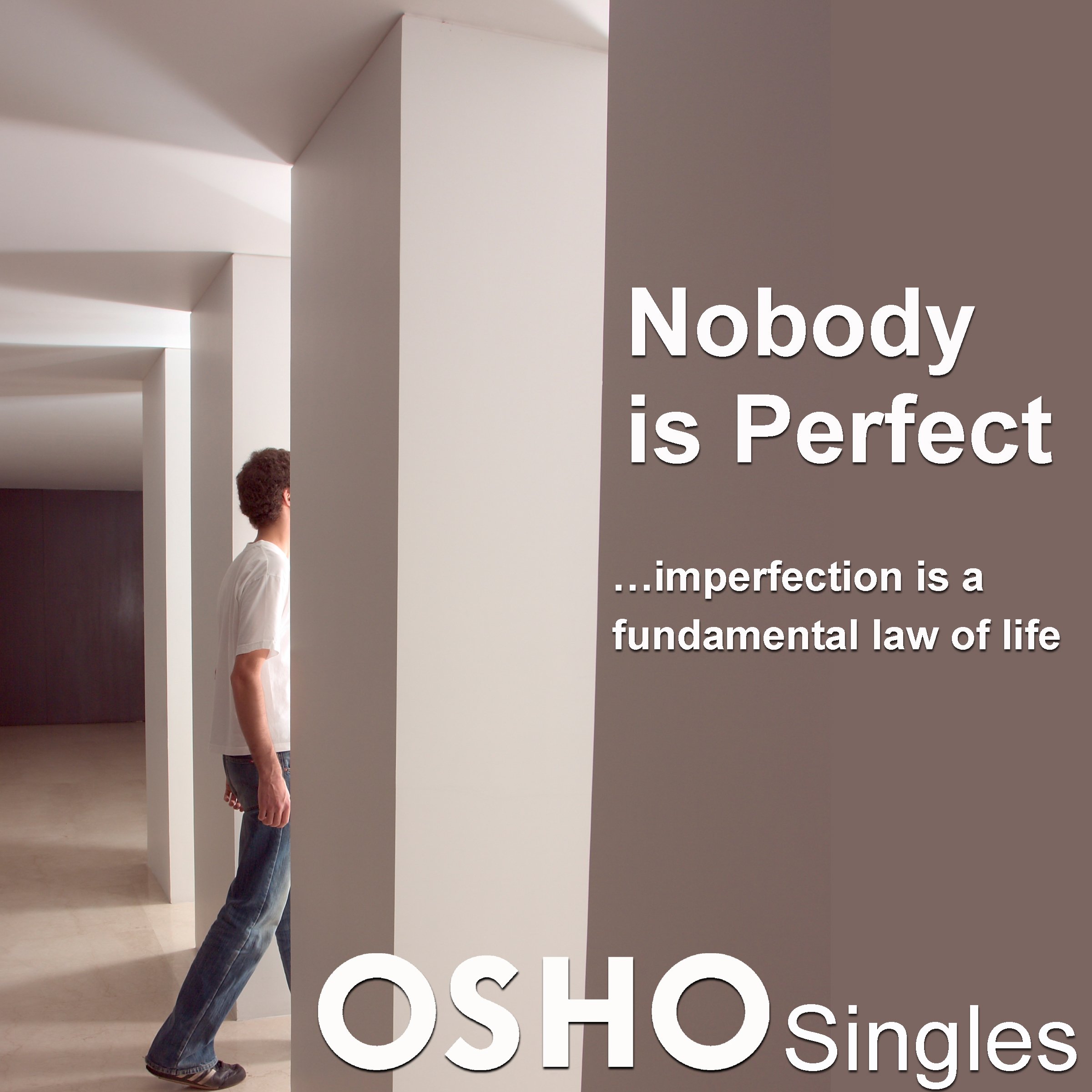 Cover art for Nobody is Perfect