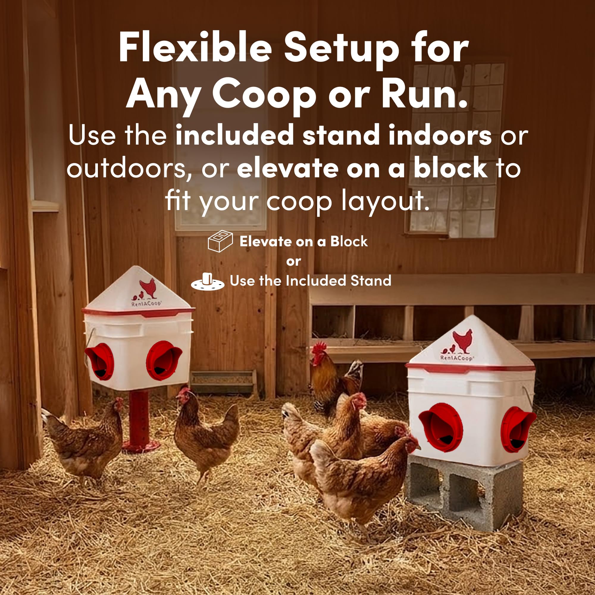 Amazon.com: RentACoop: Poultry Feeders & Waterers