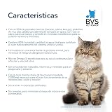 Ver la foto 3