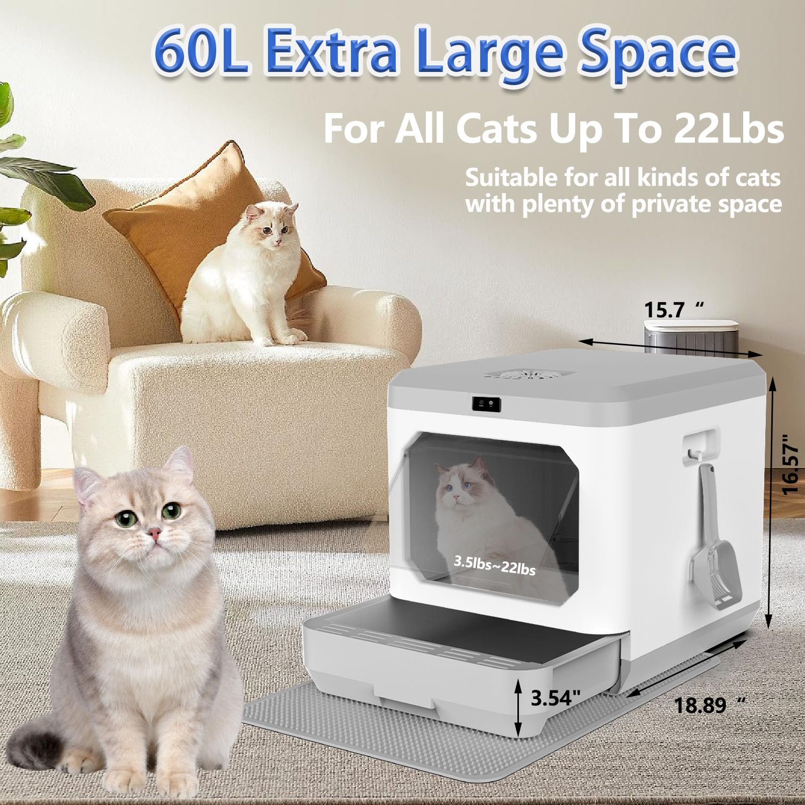Automatic Cat Litter HHOLOVE Self-Cleaning Cat Litter Box Smart