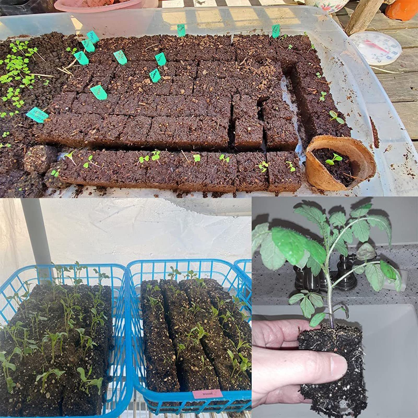 Bloque de tierra manual de acero inoxidable para dispensador de plántulas, mini bloque para plantar invernaderos