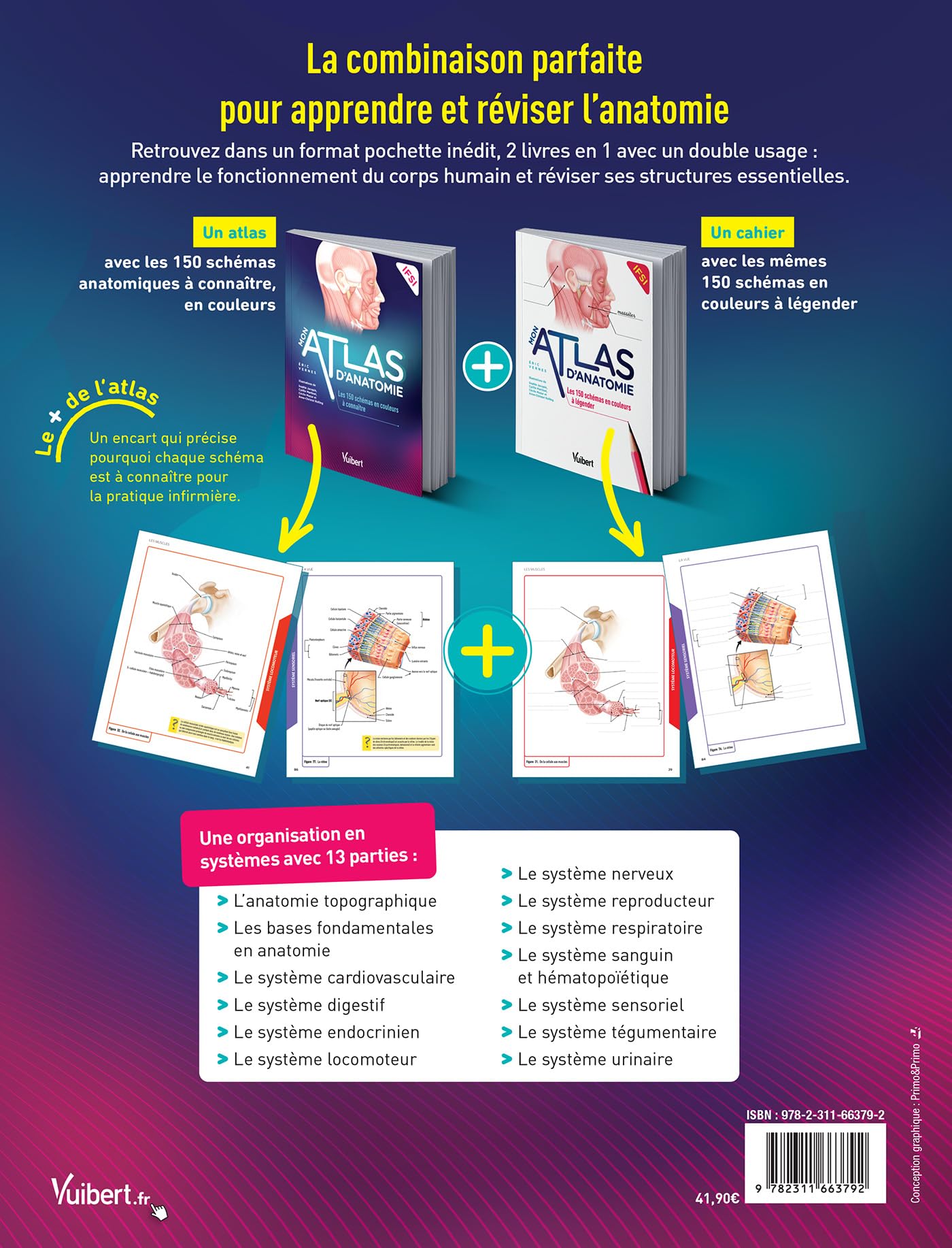 Mon atlas d'anatomie - Etudiants en IFSI: 2 livres dans une pochette : un atlas annoté et un cahier avec 150 illustrations en couleur à légender