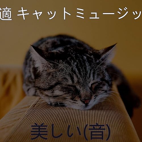 Amazon Music 快適 キャットミュージックのバックグラウンドミュージック かわいい猫 Amazon Co Jp