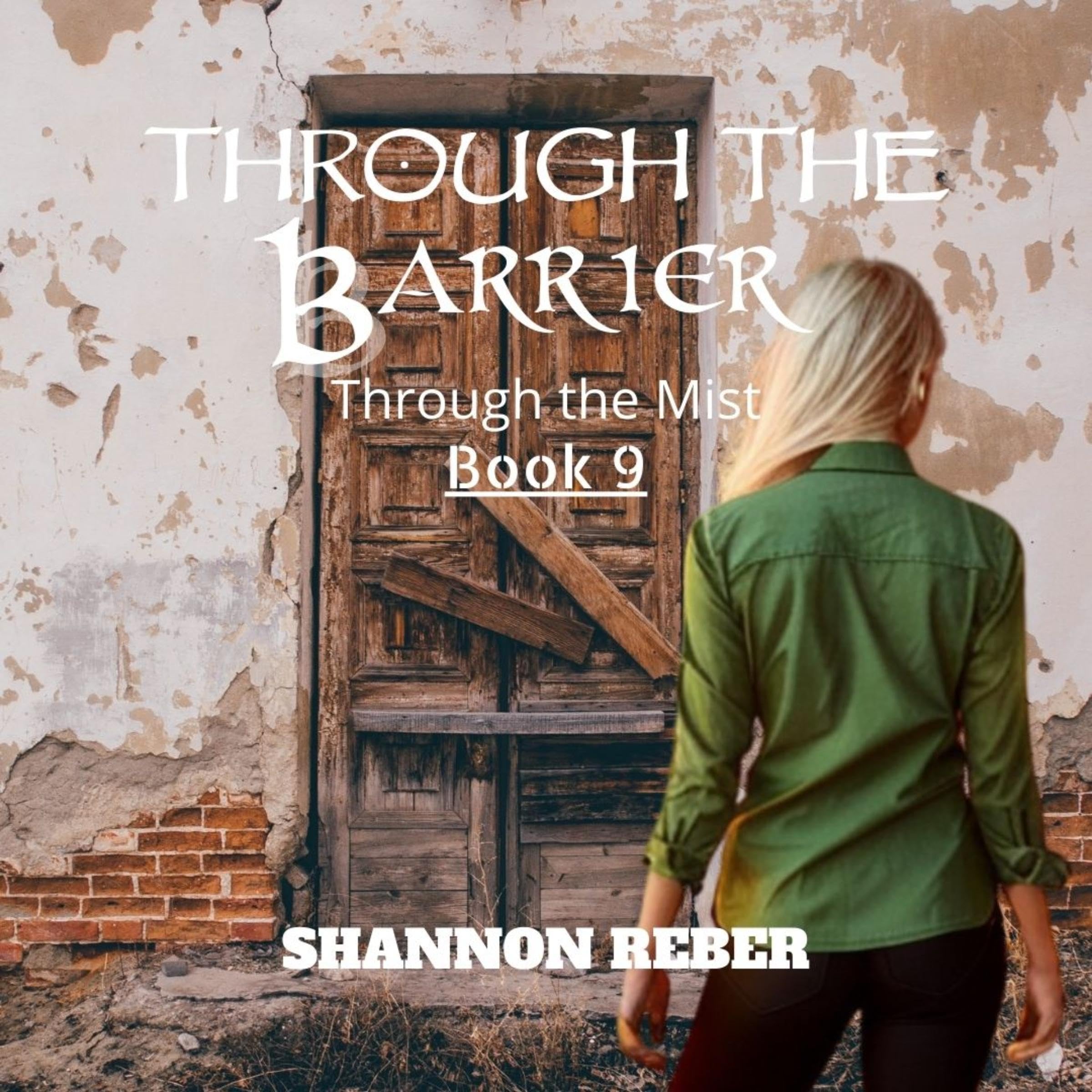 Cover art for Through the Barrier