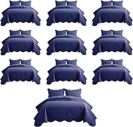 IR Imperial Rooms 10 Pack Queen Quilt Bedding Set (90" x 96") - Bulk Wholesale for Hotels, Guest Bedroom & Airbnbs - Lightweight Microfiber Reversible Floral Embossed Quilts Bedspreads (Blue)