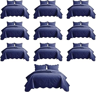IR Imperial Rooms 10 Pack Queen Quilt Bedding Set (90" x 96") - Bulk Wholesale for Hotels, Guest Bedroom & Airbnbs - Lightweight Microfiber Reversible Floral Embossed Quilts Bedspreads (Blue)