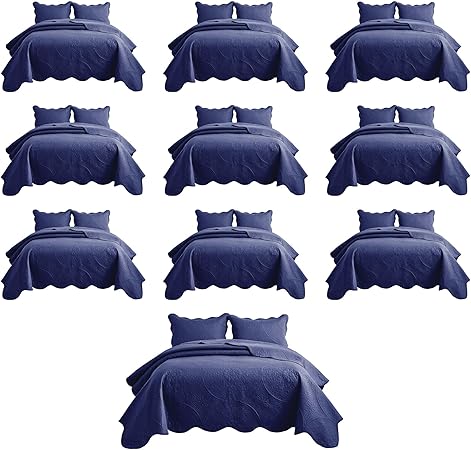 IR Imperial Rooms 10 Pack Queen Quilt Bedding Set (90" x 96") - Bulk Wholesale for Hotels, Guest Bedroom & Airbnbs - Lightweight Microfiber Reversible Floral Embossed Quilts Bedspreads (Blue)
