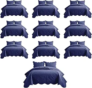 IR Imperial Rooms 10 Pack Queen Quilt Bedding Set (90" x 96") - Bulk Wholesale for Hotels, Guest Bedroom & Airbnbs - Lightweight Microfiber Reversible Floral Embossed Quilts Bedspreads (Blue)