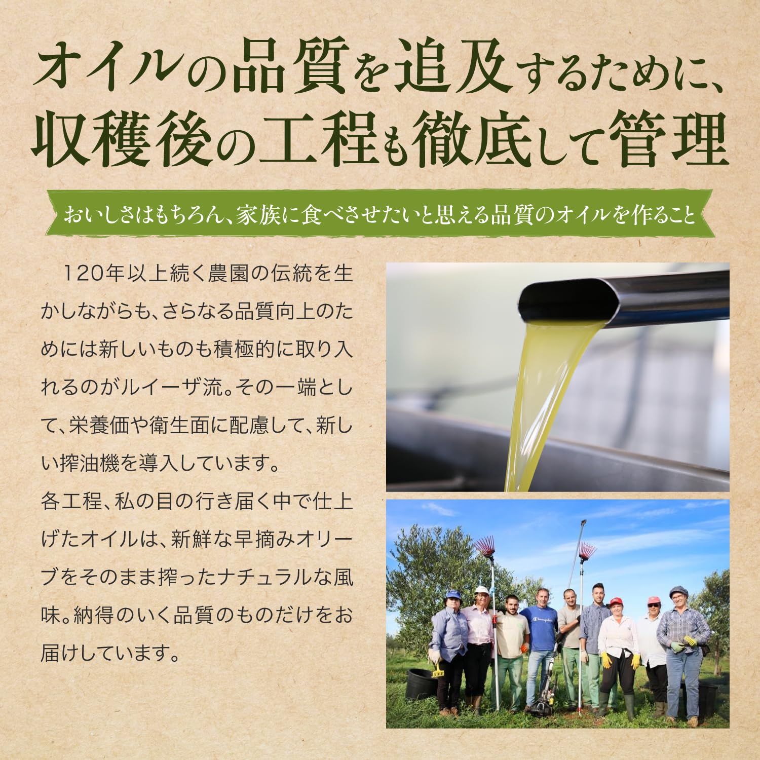 Amazon | 日清オイリオ 有機 エキストラバージンオリーブオイル 190g