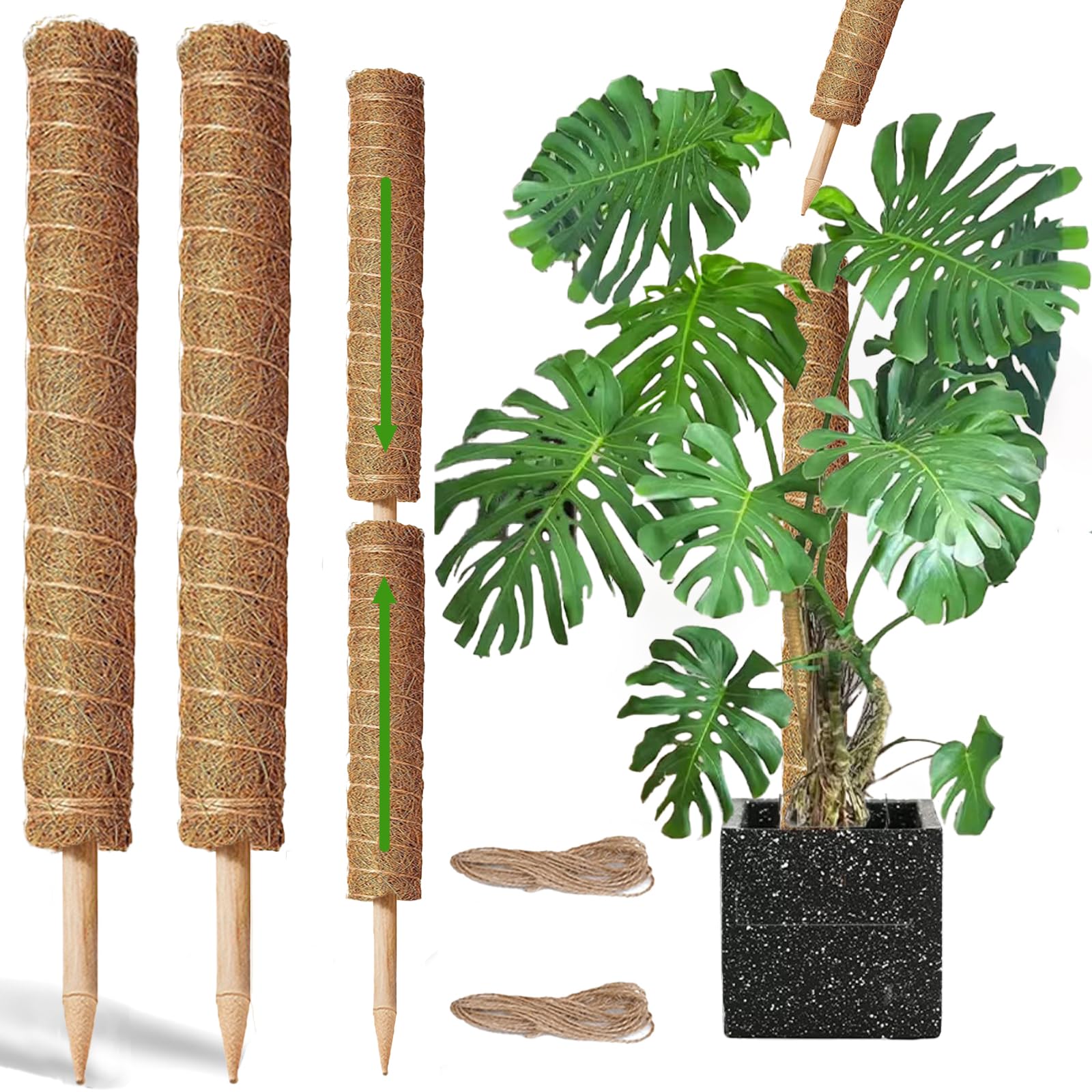 Moss Pole - 2 Pack: 17 Inch Coir Plant Support - Stackable - For Climbing Plants
