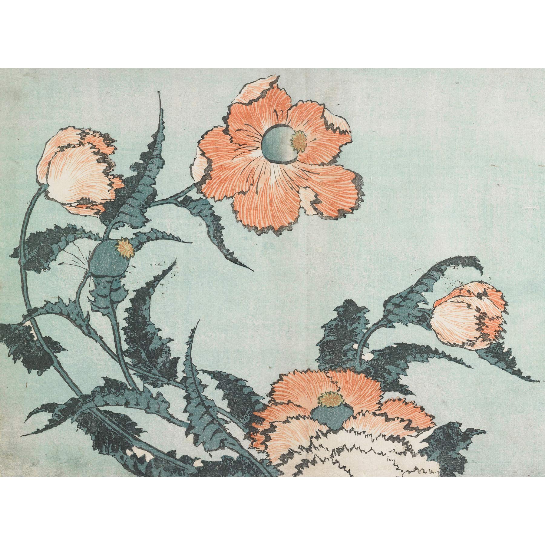Poppies 1833 Katsushika Hokusai Premium Wall Art Canvas Print 18X24 Inch