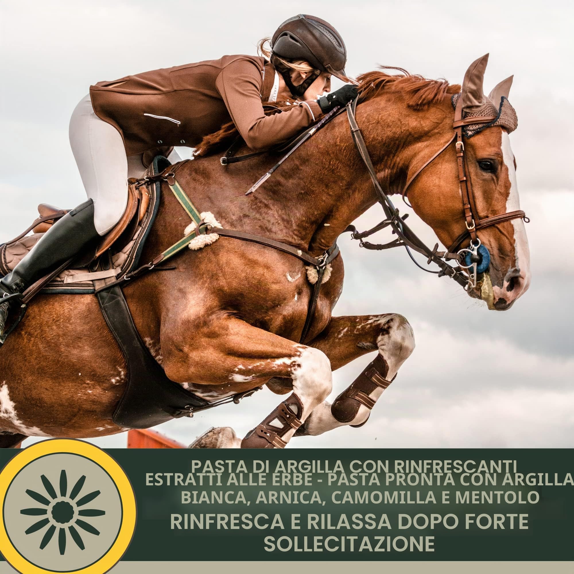 argilla acetica ⇒ argilla cavallo I balsamo per cavalli I pasta con pomata all'arnica argilla minerale I pasta di argilla curativa rinfrescante I gel I gel all'arnica muscoli tendini legamenti 1,5Kg
