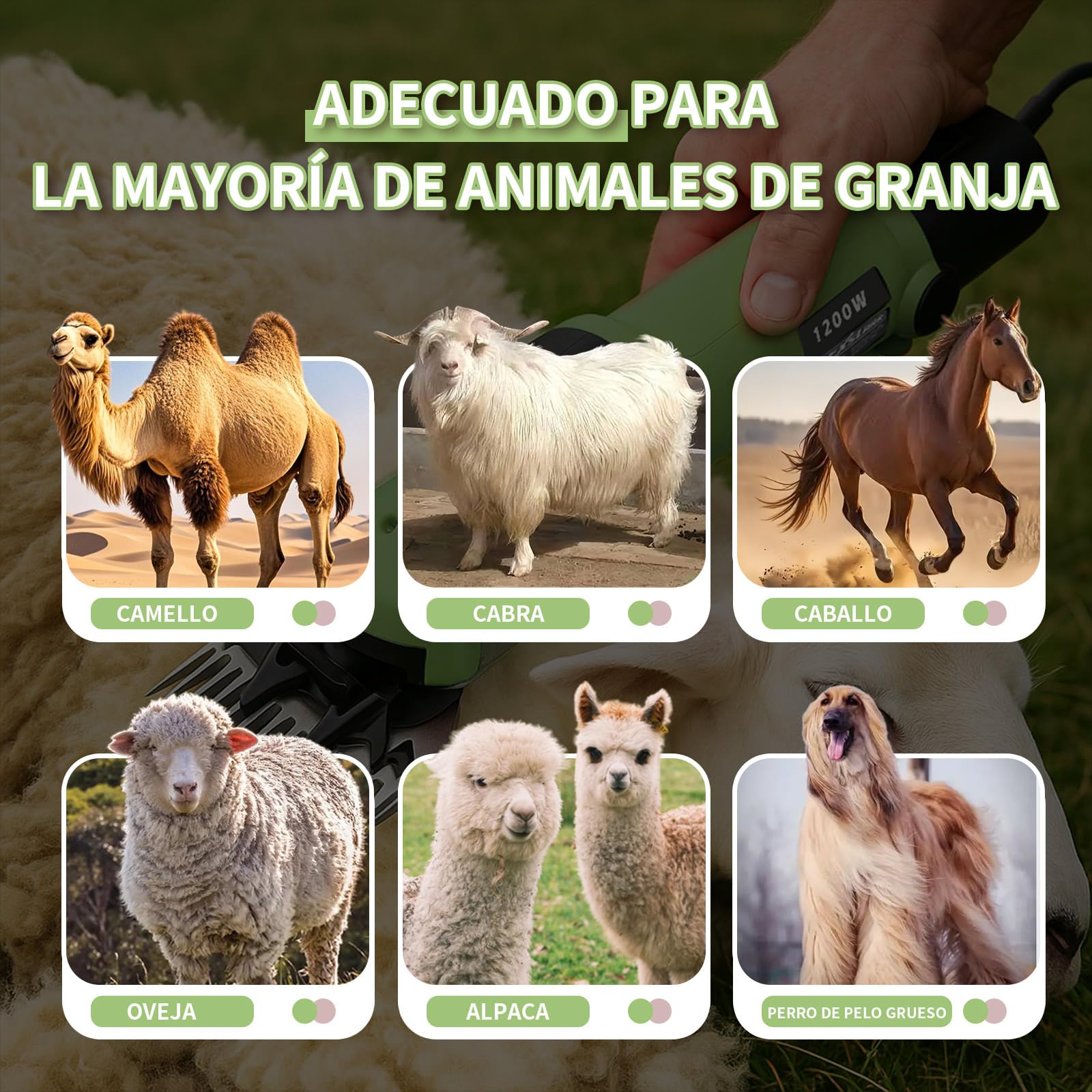 KEXSLARR 1200W Esquiladora Ovejas Profesional, Maquina Esquilar Ovejas 6 Velocidades 3200 RPM, Incluye Manual Español y Kit Completo con Maletín, Cortapelos Eléctrico para Cabras Alpacas (verde) — view 9