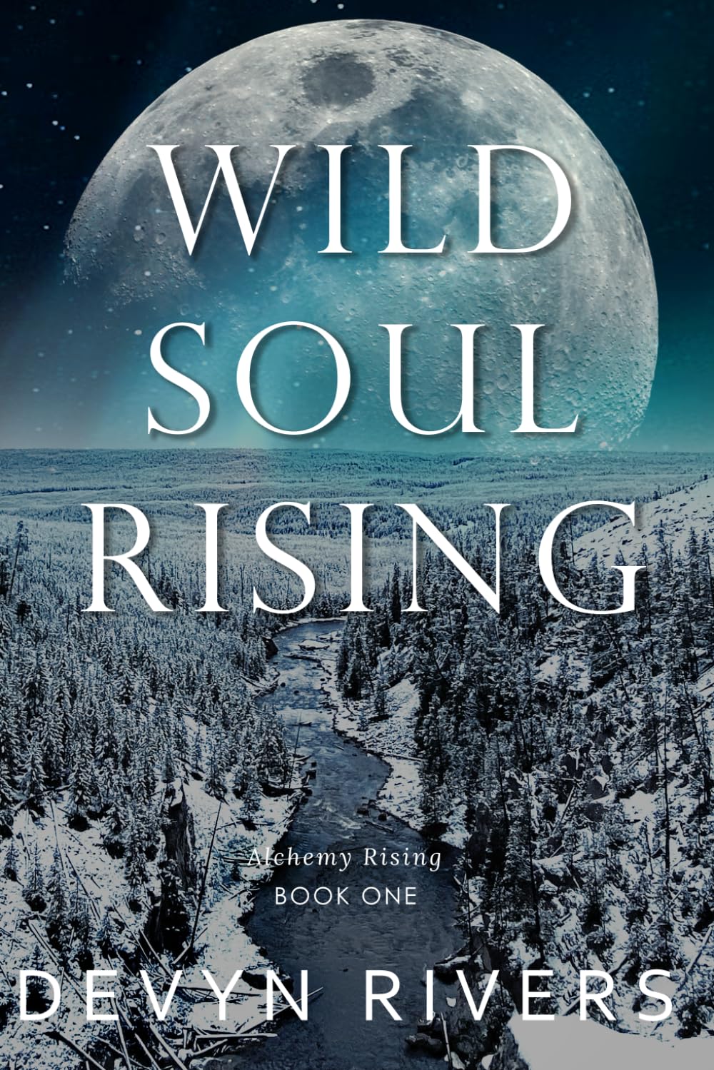 Wild Soul Rising: 1 (Alchemy Rising)
