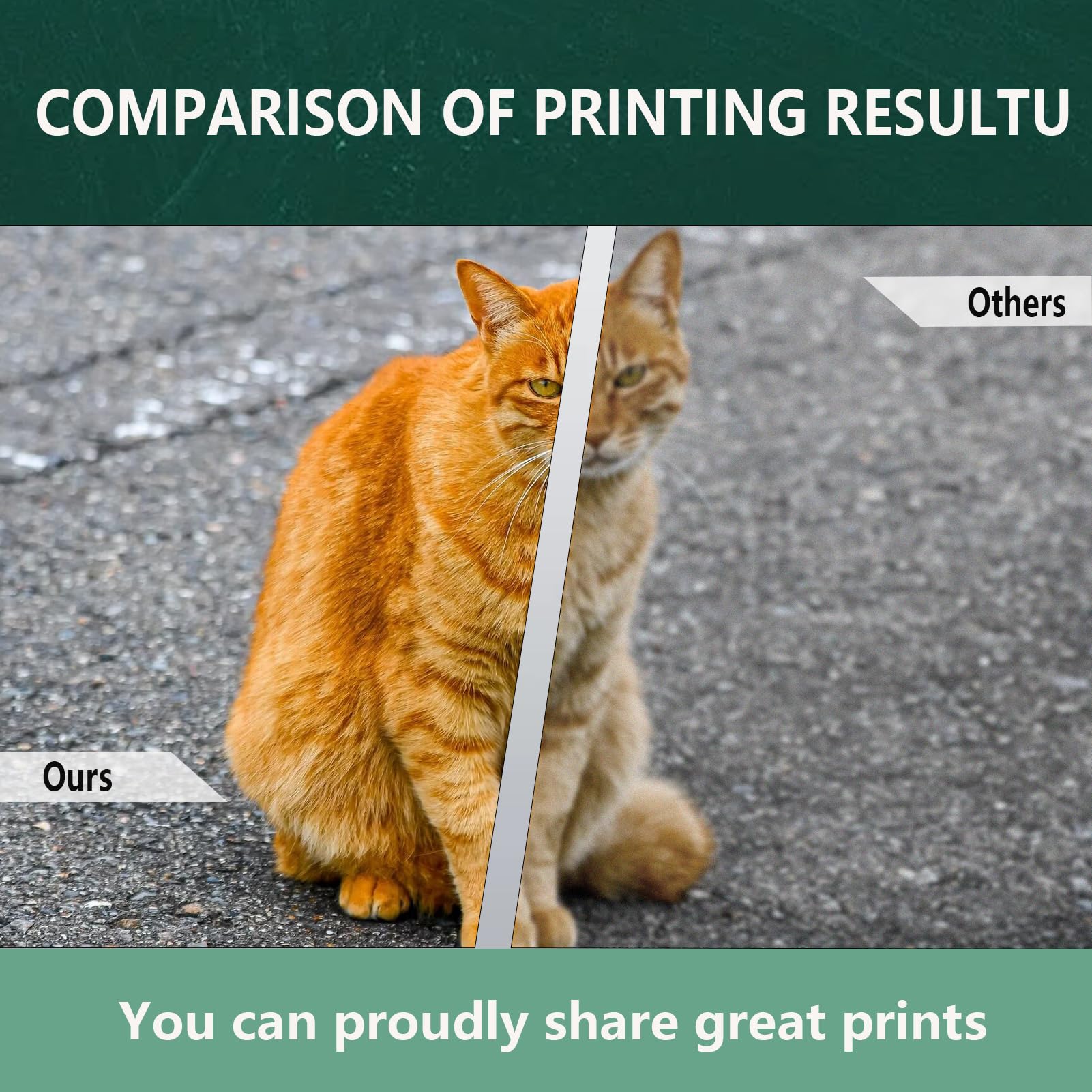 Amazon.com: ERNITH BC-345 Black and BC-346 Color Ink Cartridges