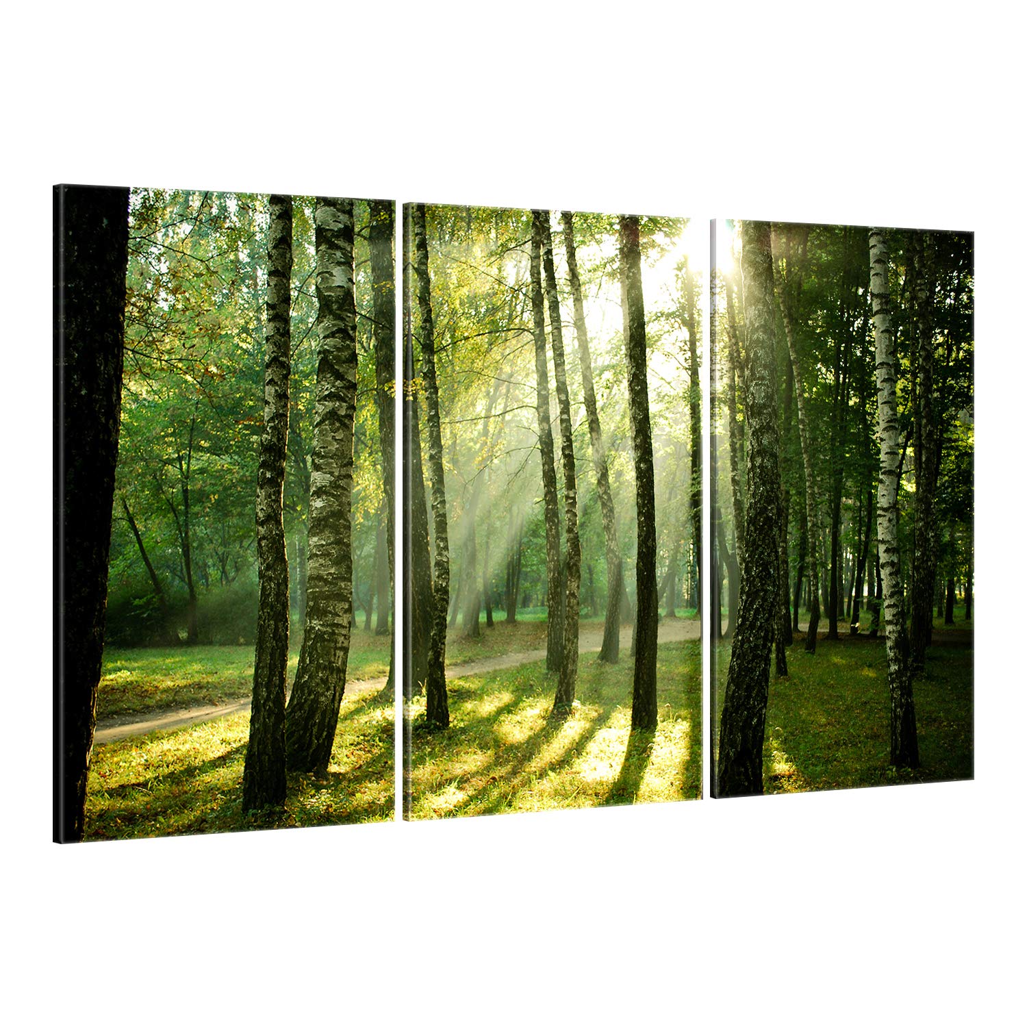 ge Bildet Bild auf Leinwand | Wald - natur blumen Wald Sonnenschein grün I in 165x100 cm mehrteilig als Wandbild XXL | Wand-deko Dekoration Wohnung modern Bilder | 2213
