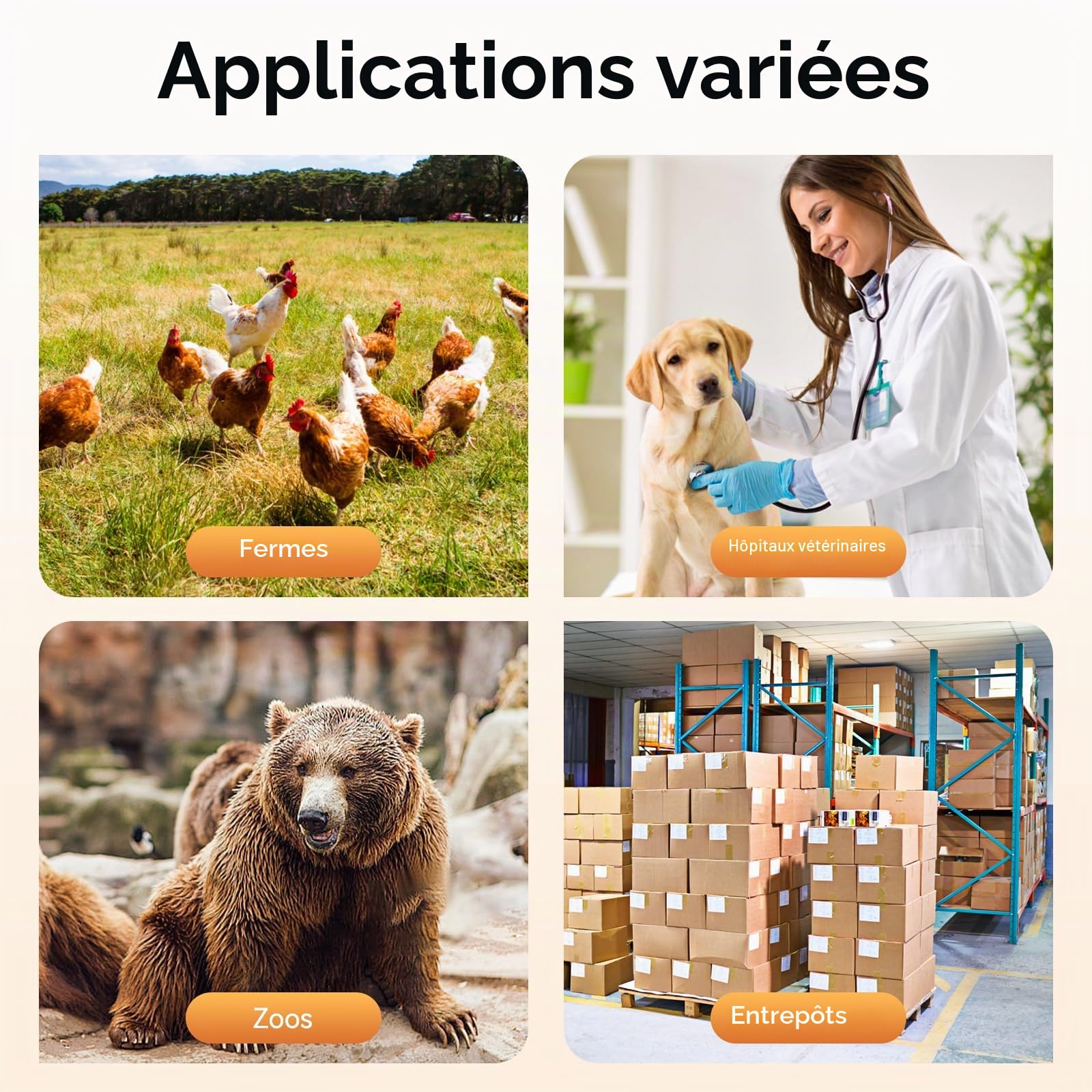 Balance vétérinaire de haute précision pour animaux de compagnie - Pèse-plateforme LCD - Écran en verre martelé - Coupe sur mesure pour grands chiens