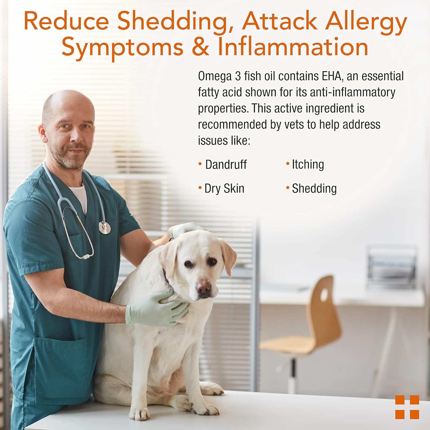 Will Omega 3 Help My Dogs Dry Skin