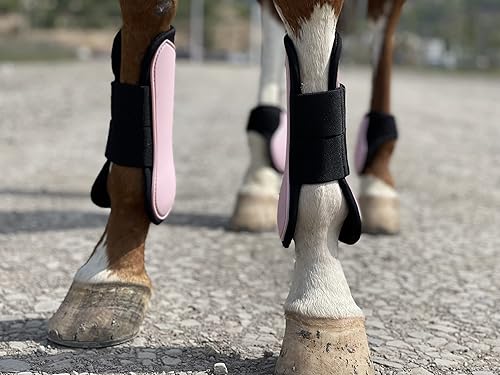 Juego de 4 botas de tendón de caballo con frente abiertoFetlock para caballo