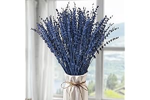 Blue Dried Preserved Lavender Flowers Bouquet - Aromatherapy Fragrance
