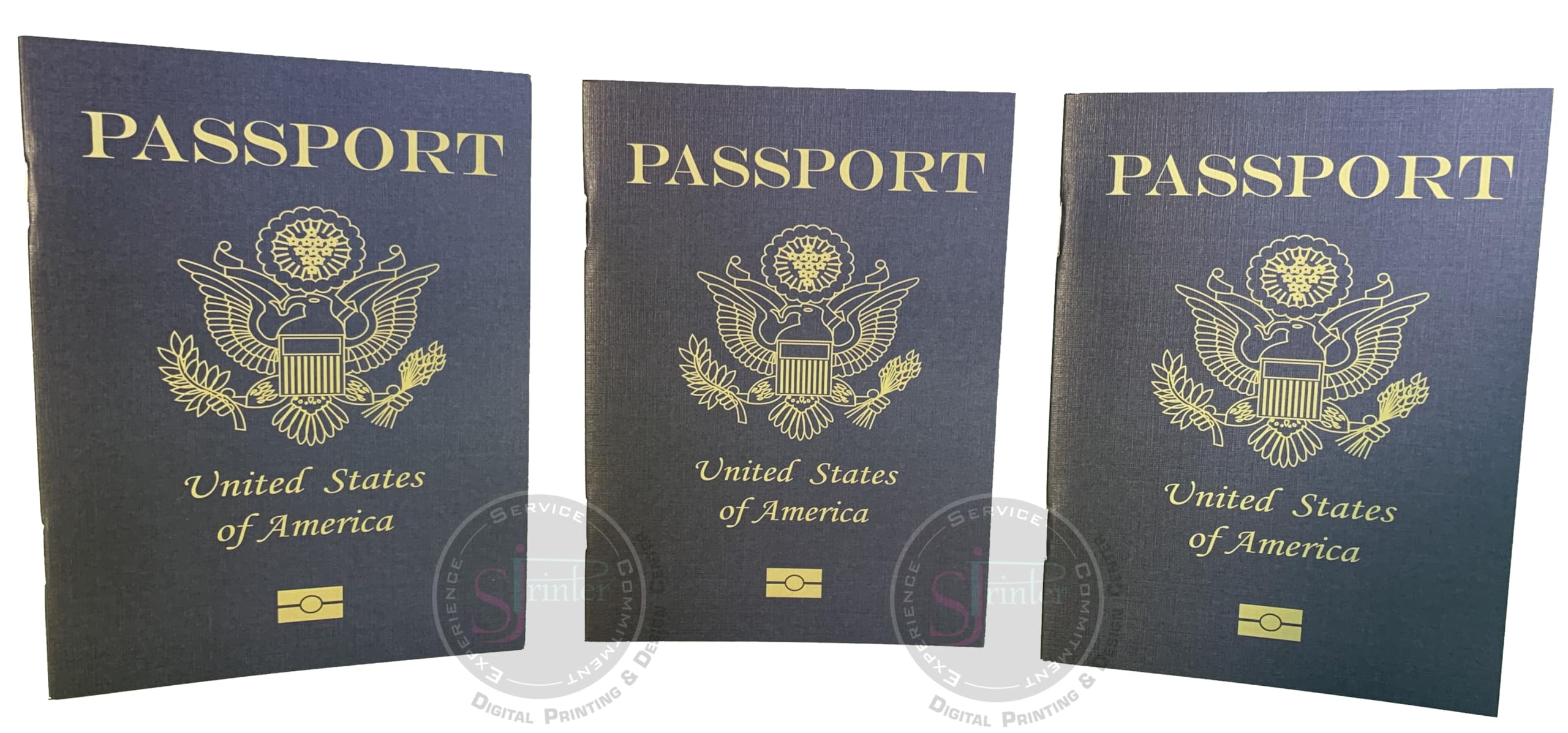 SJPRINTER Cuaderno de pasaporte en blanco | Pequeños pasaportes | Proyectos escolares, regalos de fiesta, juguete de avión, diario de viaje, geografía, estudio social en el aula (solo 18 pasaportes)