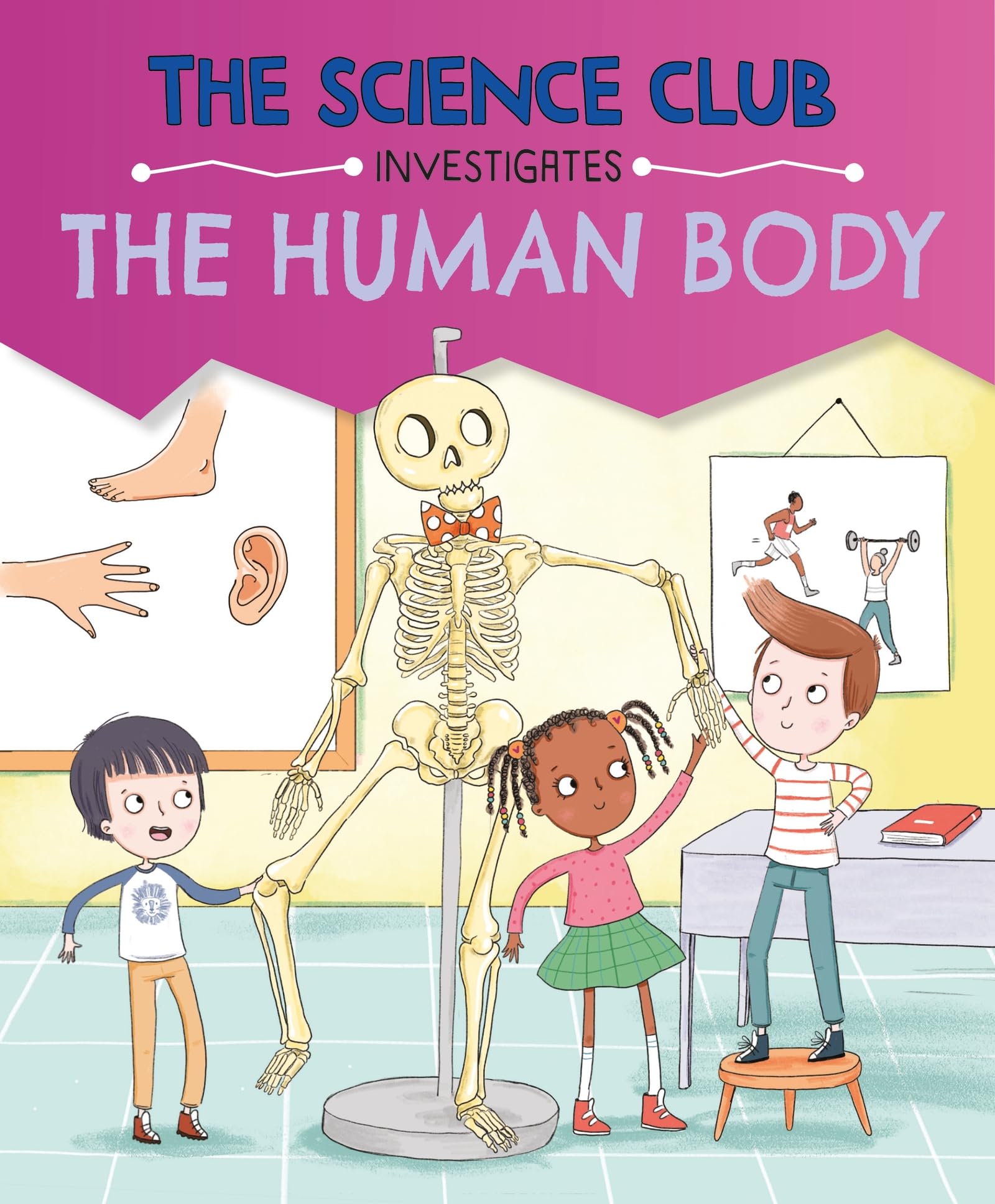 The Science Club Investigates: The Human Body by Mary Auld (Paperback Book)