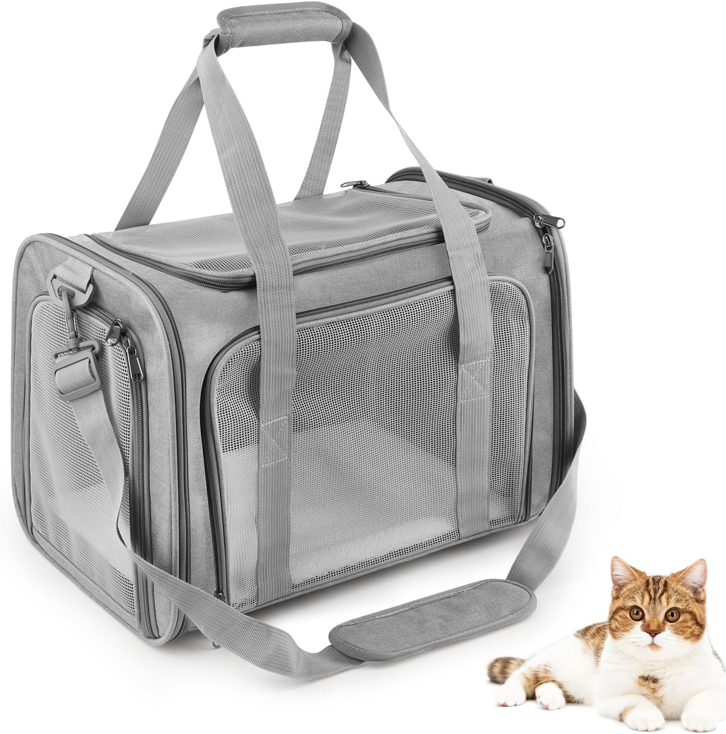 Transportin Gato Grande, 45x30x30 cm Transportin Perro Pequeño Transpirable Plegable, Transportin para Gatos con Correa al Hombro y Colchón Suave, para Coche/Avión, Autoreisbox für Katze