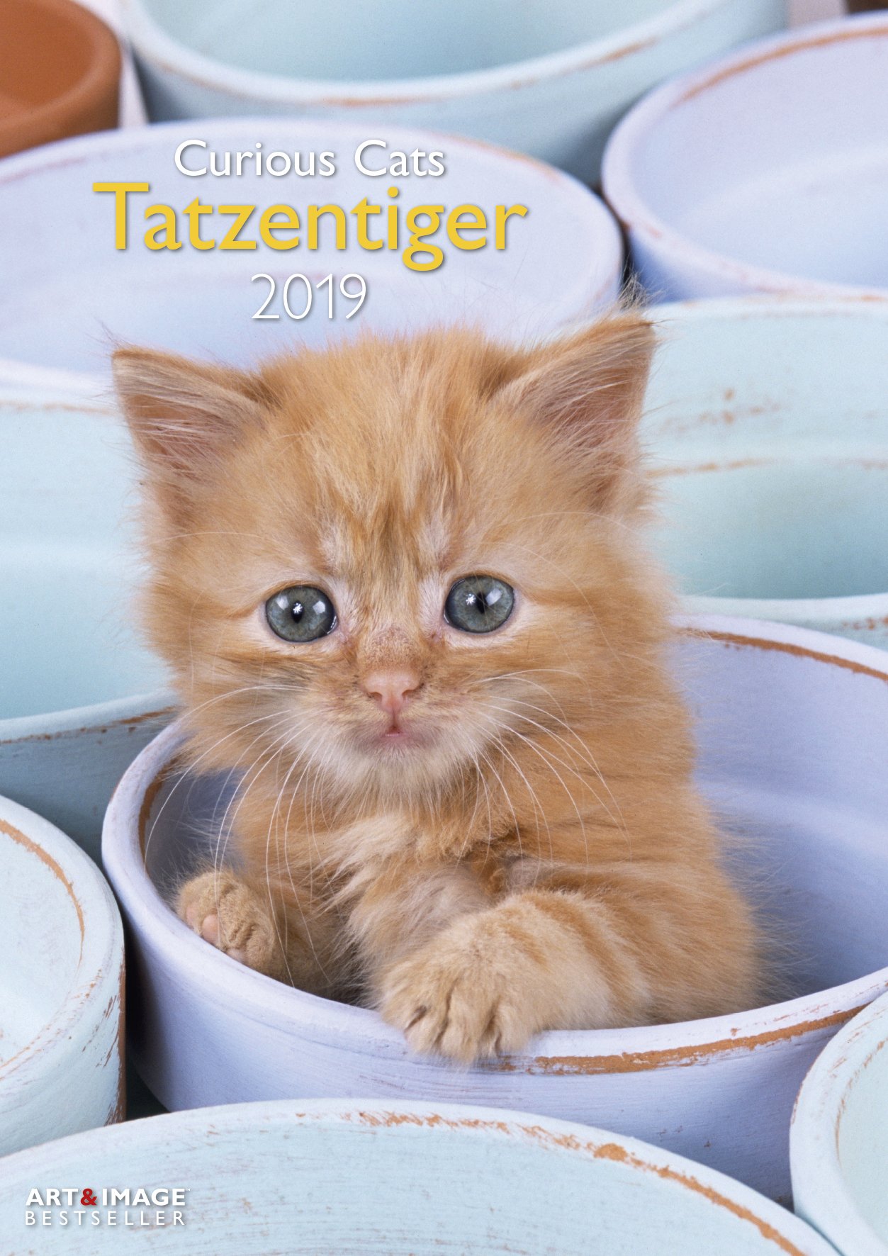 Tatzentiger 2019 Wandkalender: Curious Cats