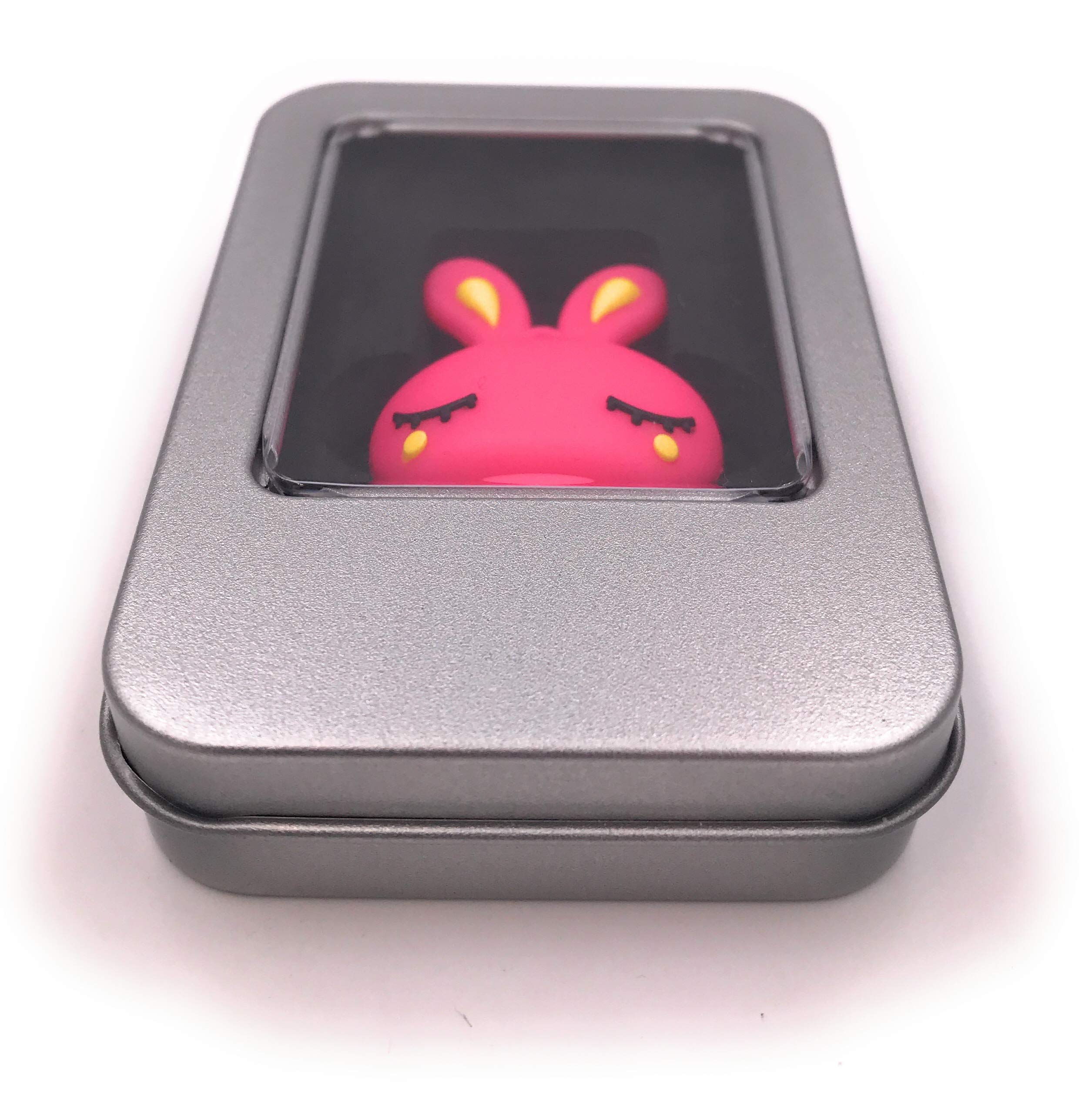 Onwomania Lepre rosa carino Pasqua chiavetta USB in alluminio confezione regalo 64 GB USB 3.0 Onwomania Lepre rosa carino Pasqua chiavetta USB in alluminio confezione regalo 64 GB USB 3.0