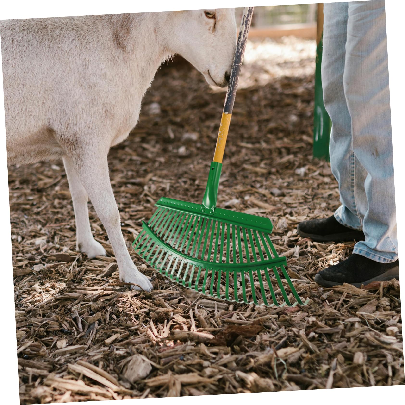 Laubbesen Für Den Garten Robuster Rasenbesen Für Blätter Und Einfach Zu Verwenden Kompaktes Design Für Effiziente Reinigung