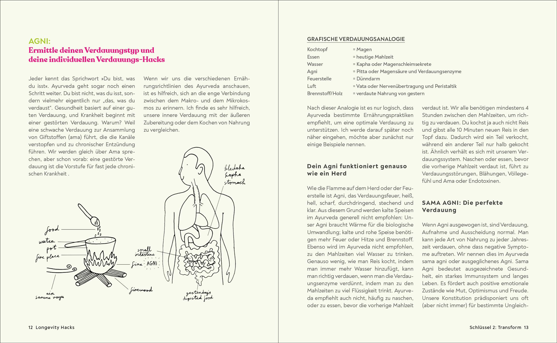Dein Ayurveda: Das Praxisbuch für ein Leben in Balance